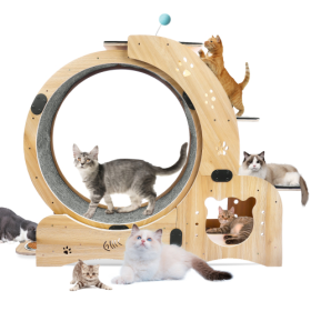 Cat Wheel 6-in-1 Cat Fitness Wheel (Option: Natural Wood)